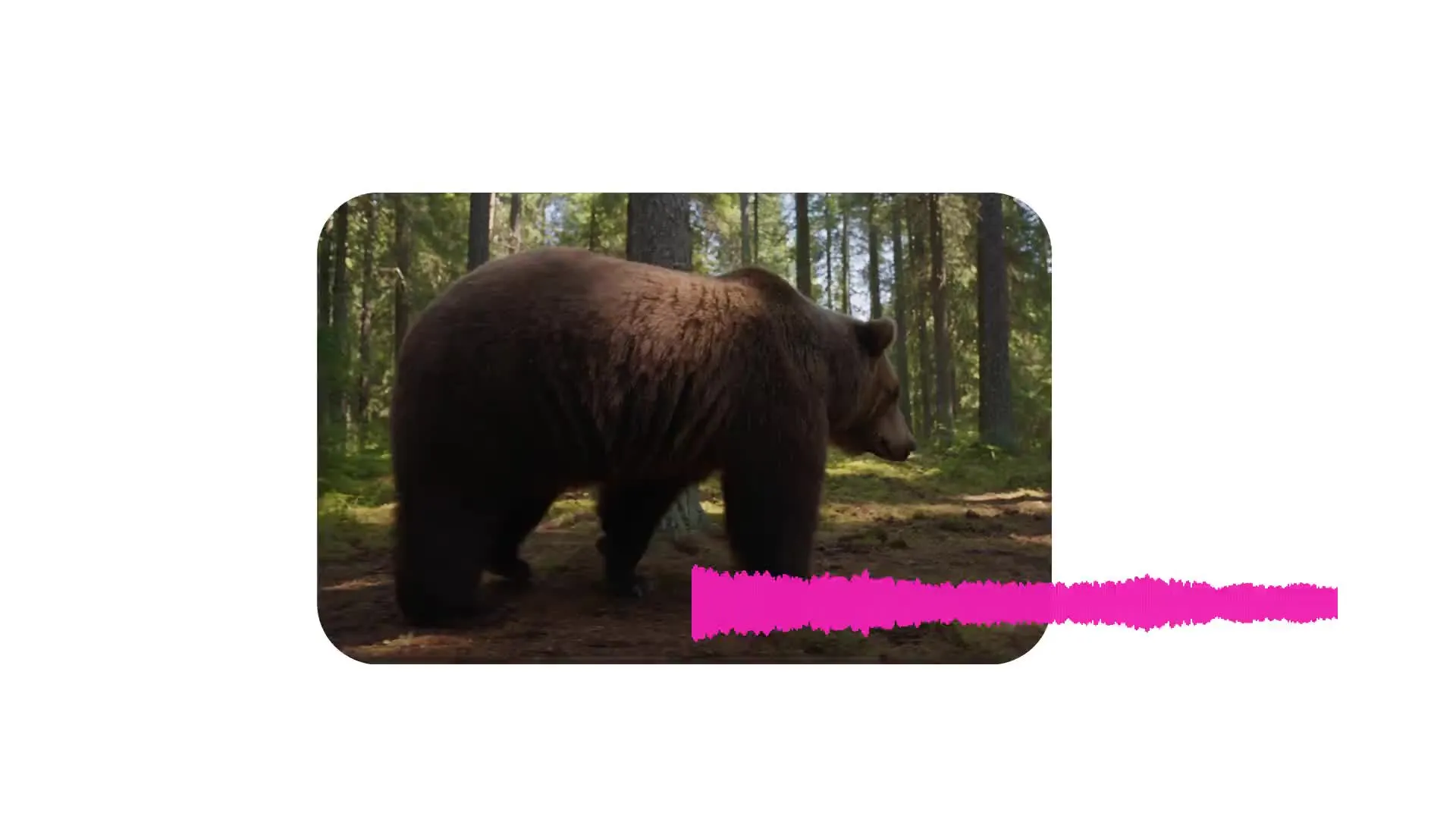 Video Poster