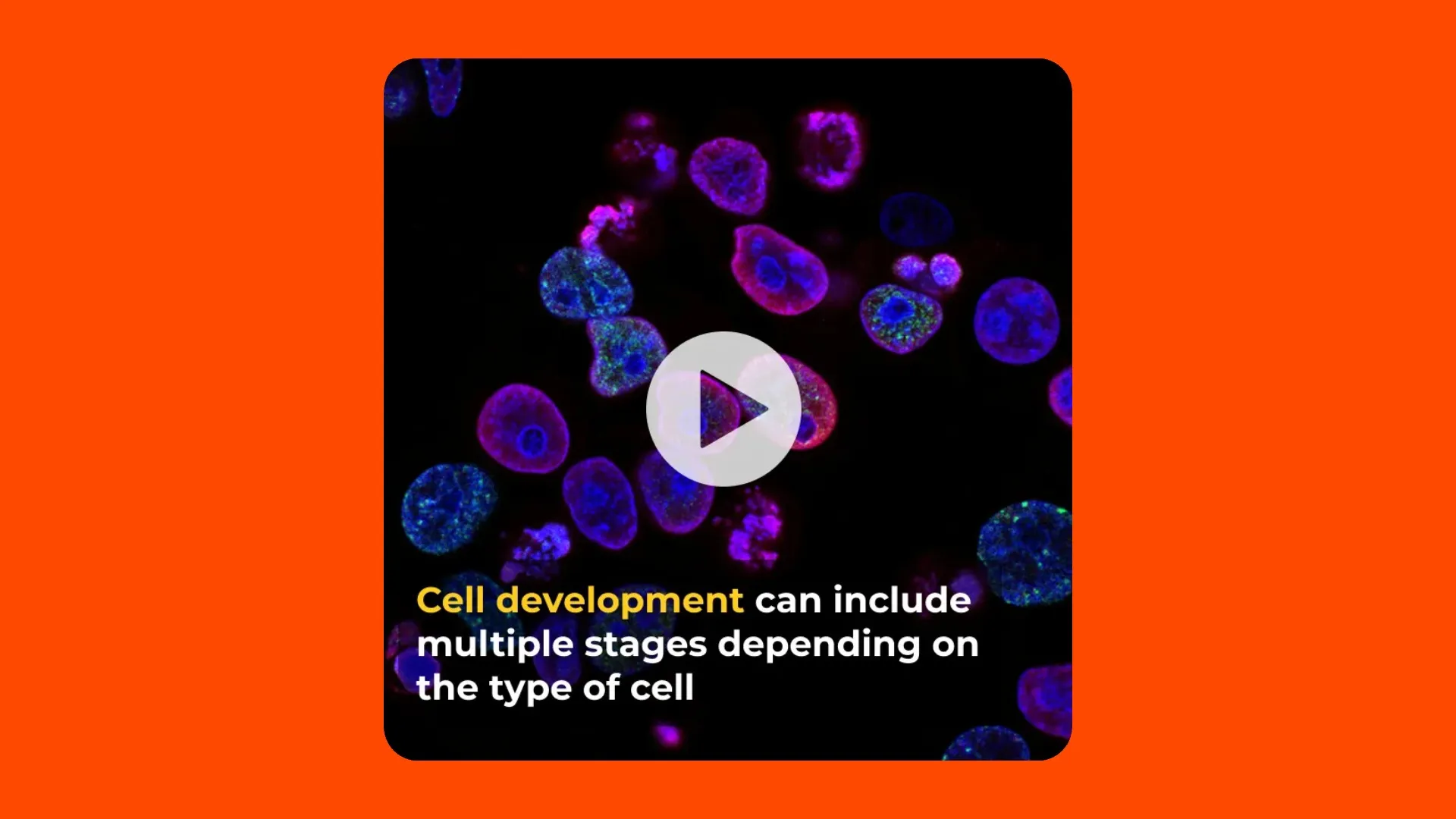 Three article image covers about cell development