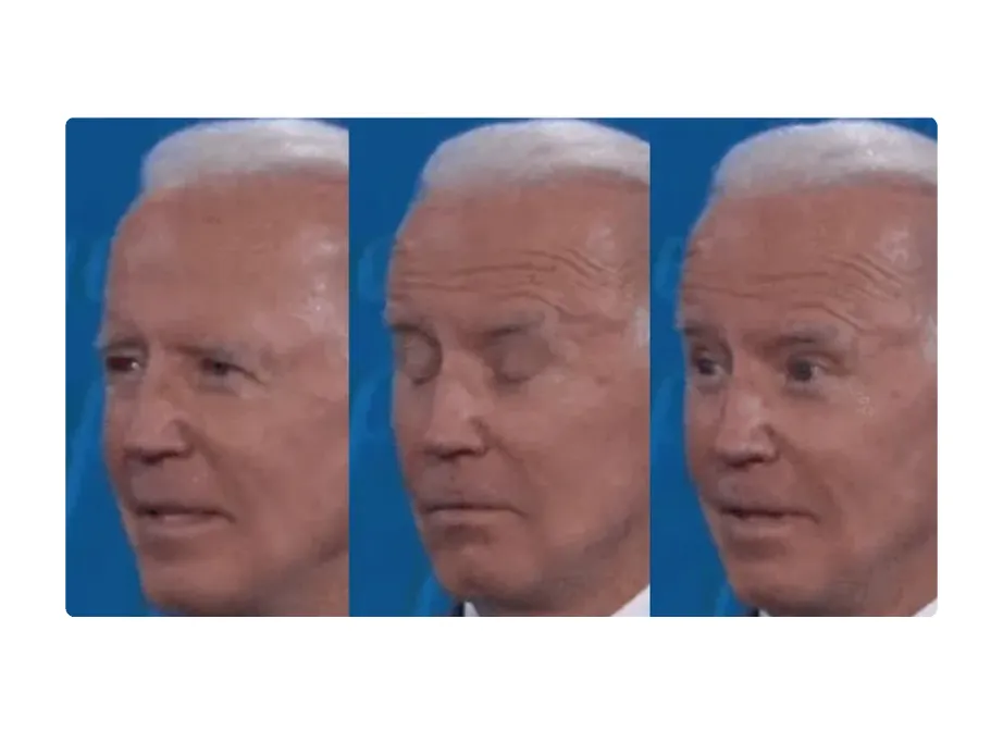 Sometimes, All You Need is a Joe Biden Meme Screenshot
