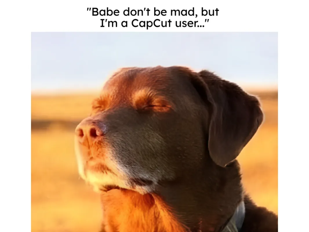 Create a Dog Meme in Your Browser Screenshot