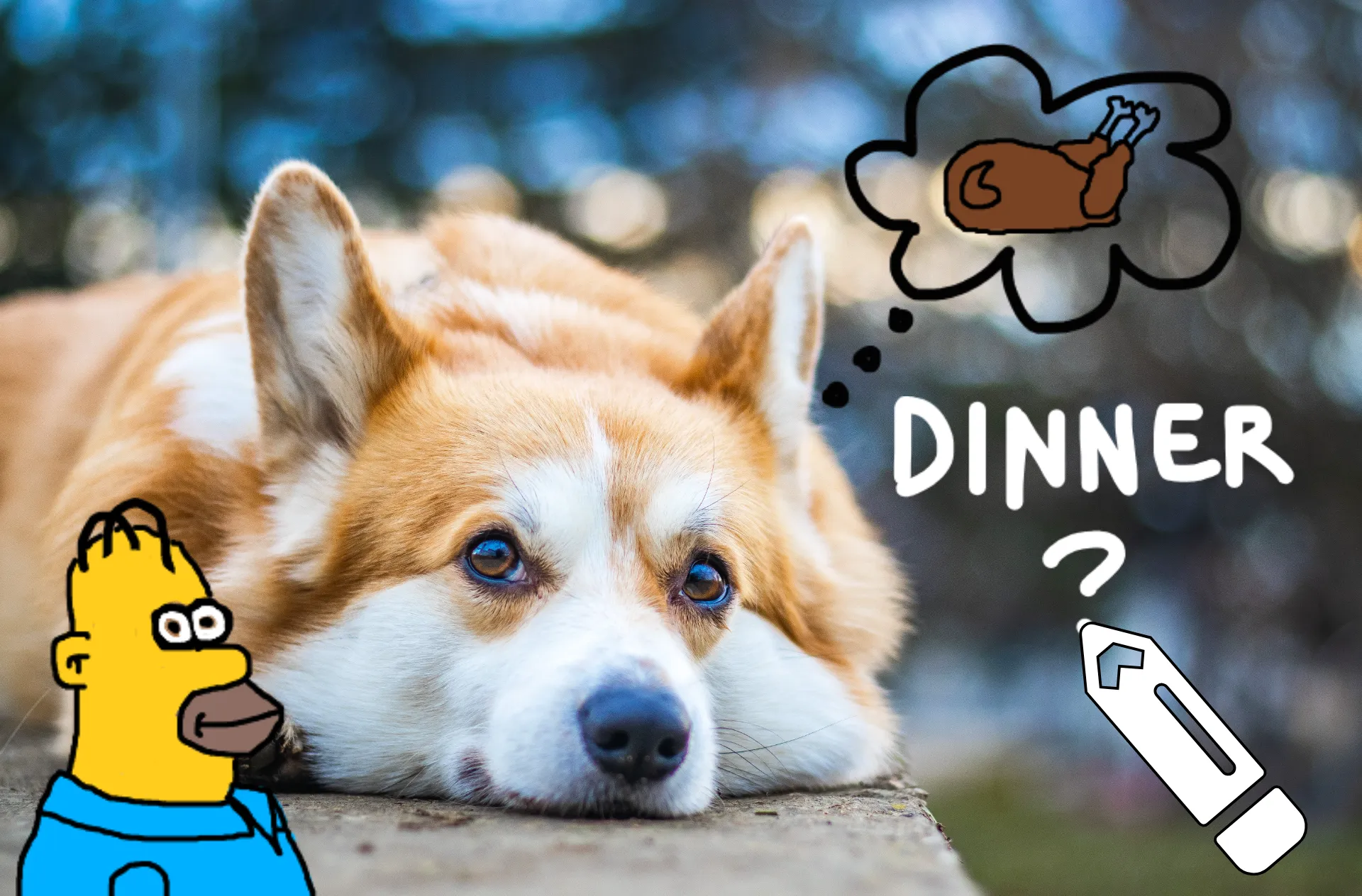sketching_and_doodling_on_a_dog_picture_for_fun_V3.png