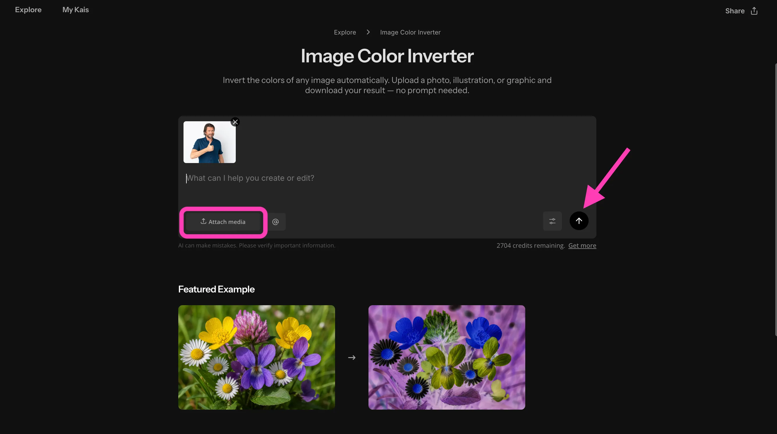 Funny Inverted Color Invert Image Colors — Online Photo Color Inverter