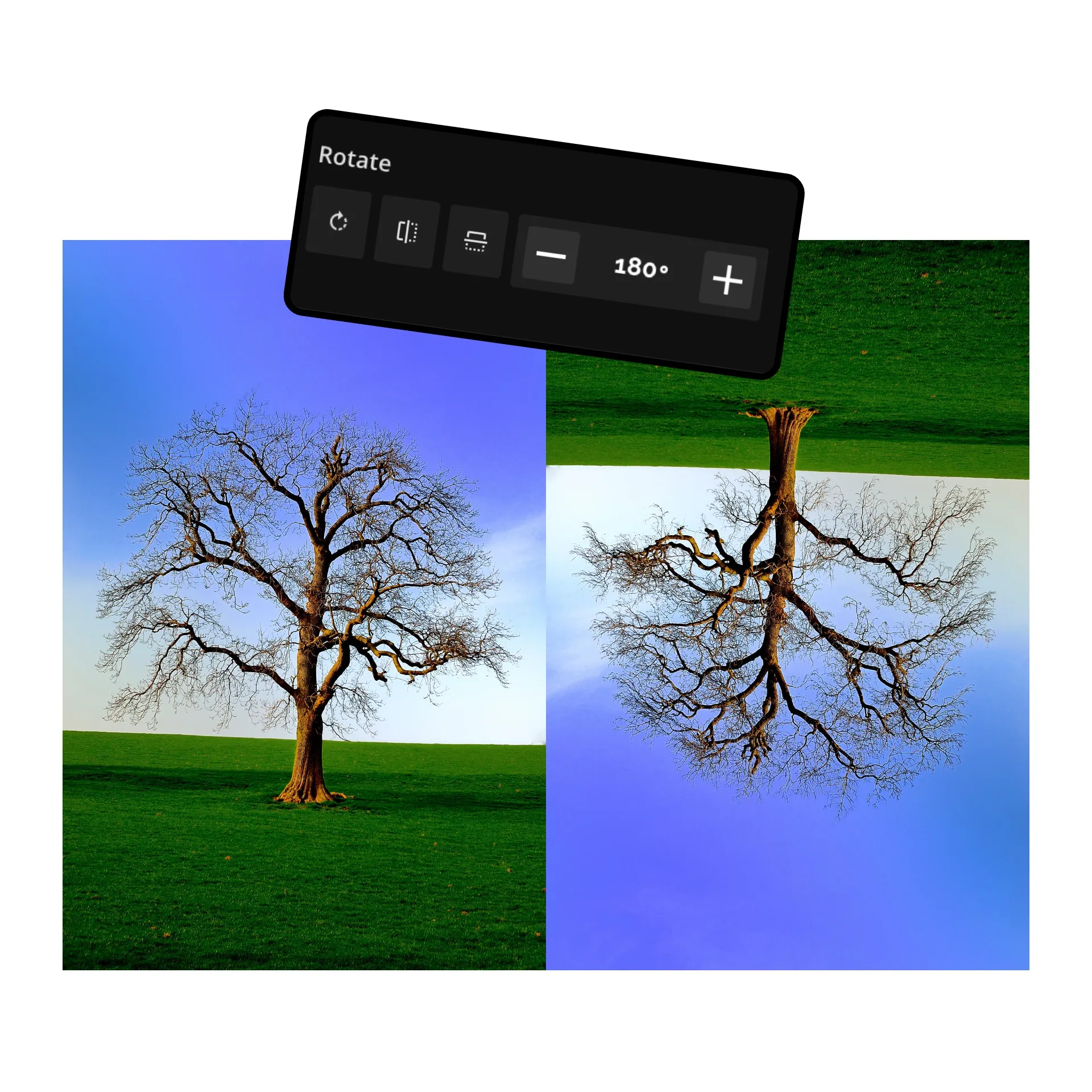 Experiment with new image angles