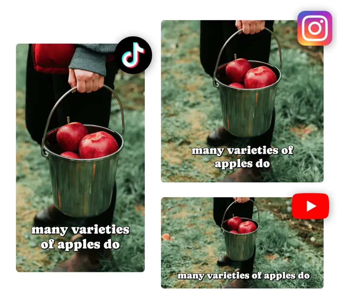 A screengrab from an informative video about apples, shown in three sizes to fit TikTok, Instagram and YouTube