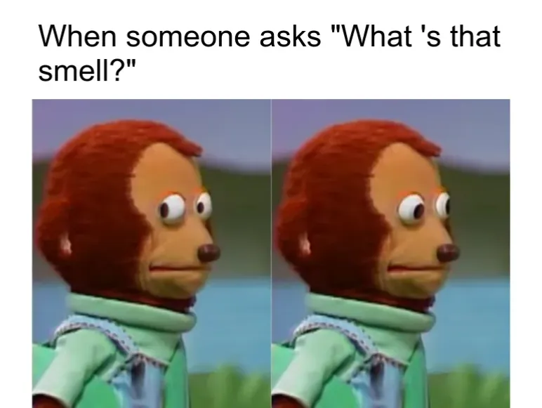 Monkey Reaction Memes For Every Moment Screenshot