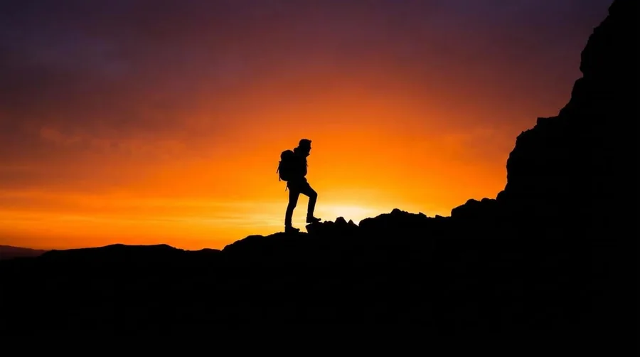 silhouette