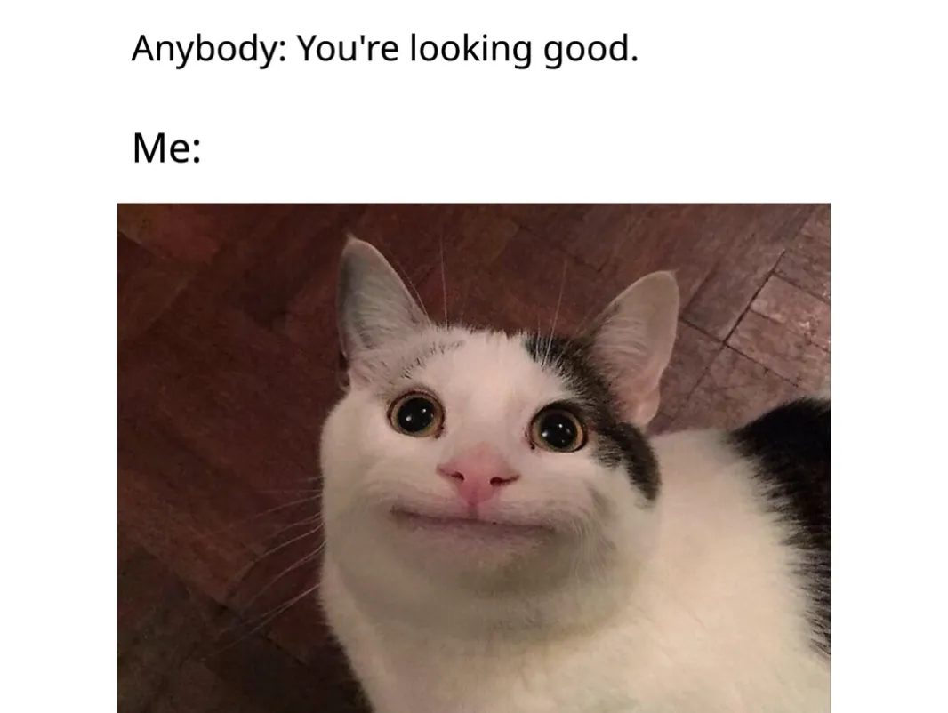 Create Your Own Cat Meme Online Screenshot