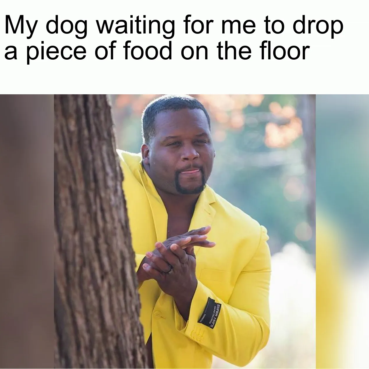 Why Do Cats Rub Against Your Legs?, image size:1268x1268