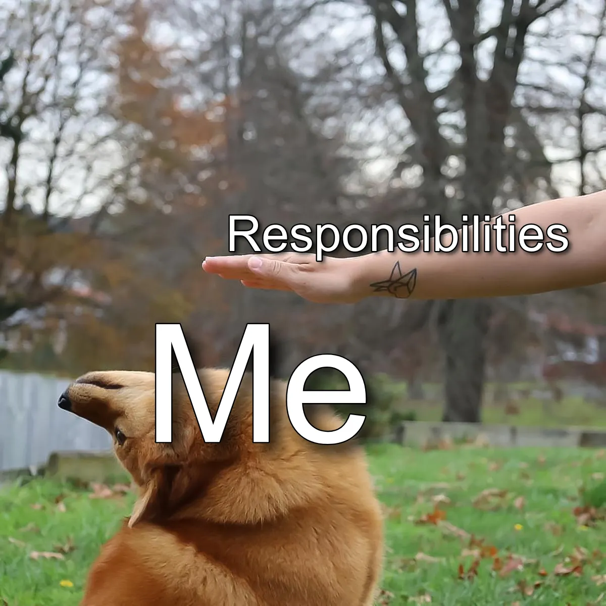 I Know What You Are Meme, image size:1200x1200