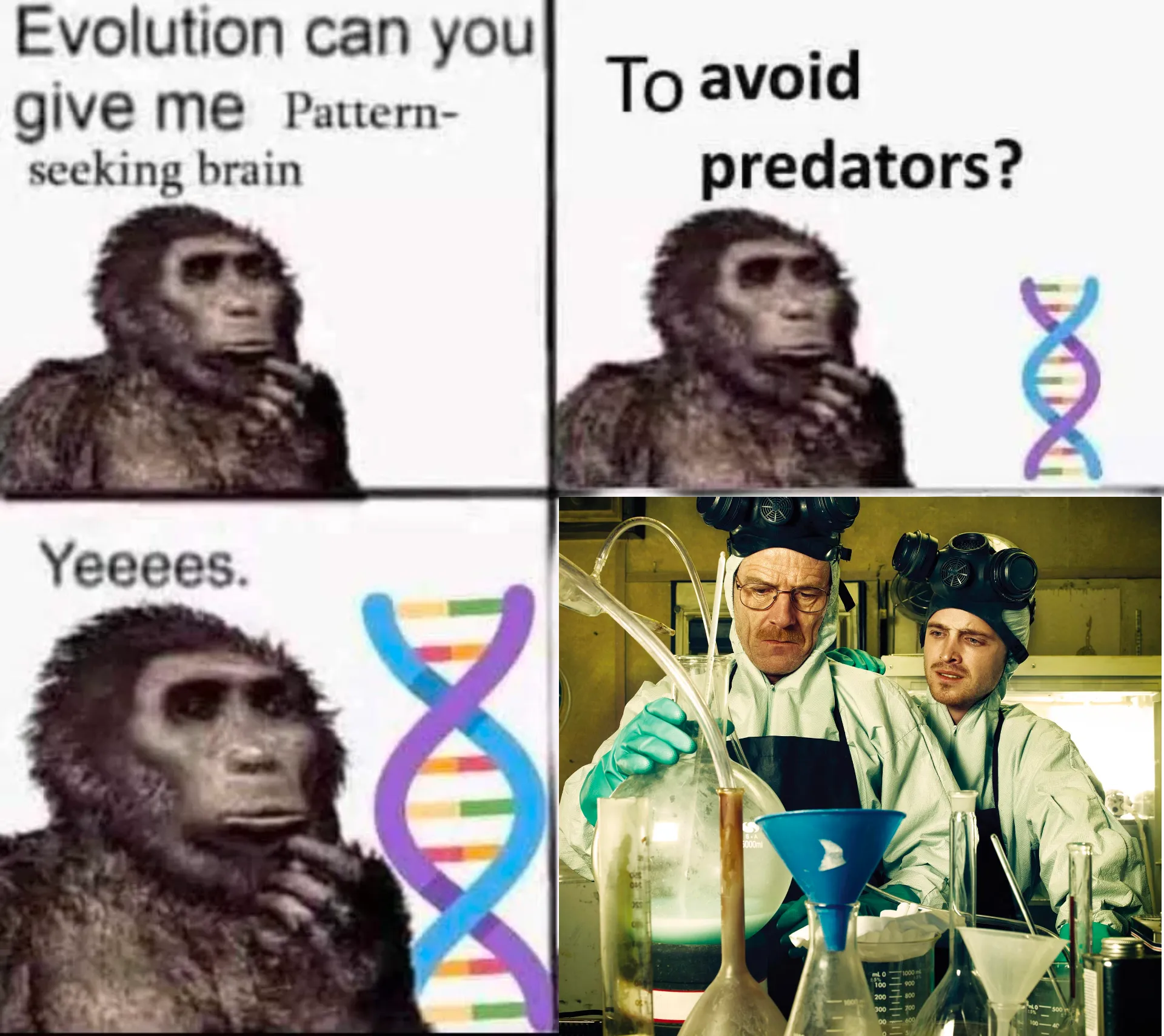 Who Want Me No 100% Meme - Template — Kapwing