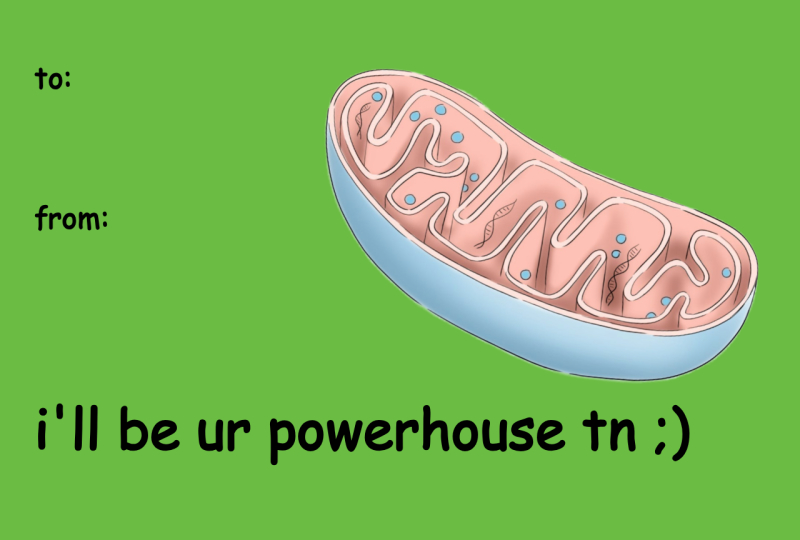 Funny Valentine’s Day Meme Card – “I’ll Be Your Powerhouse Tonight”