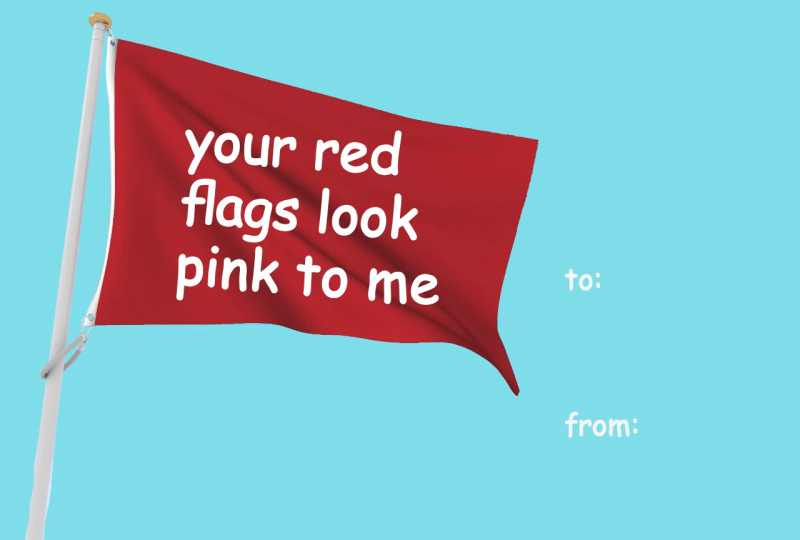 Funny Valentine’s Day Meme Card – “Your Red Flags Look Pink to Me”
