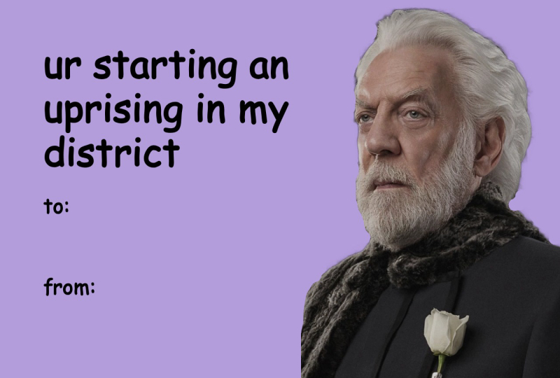 Hunger Games Valentine’s Day Meme Card – “You’re Starting an Uprising in My District”