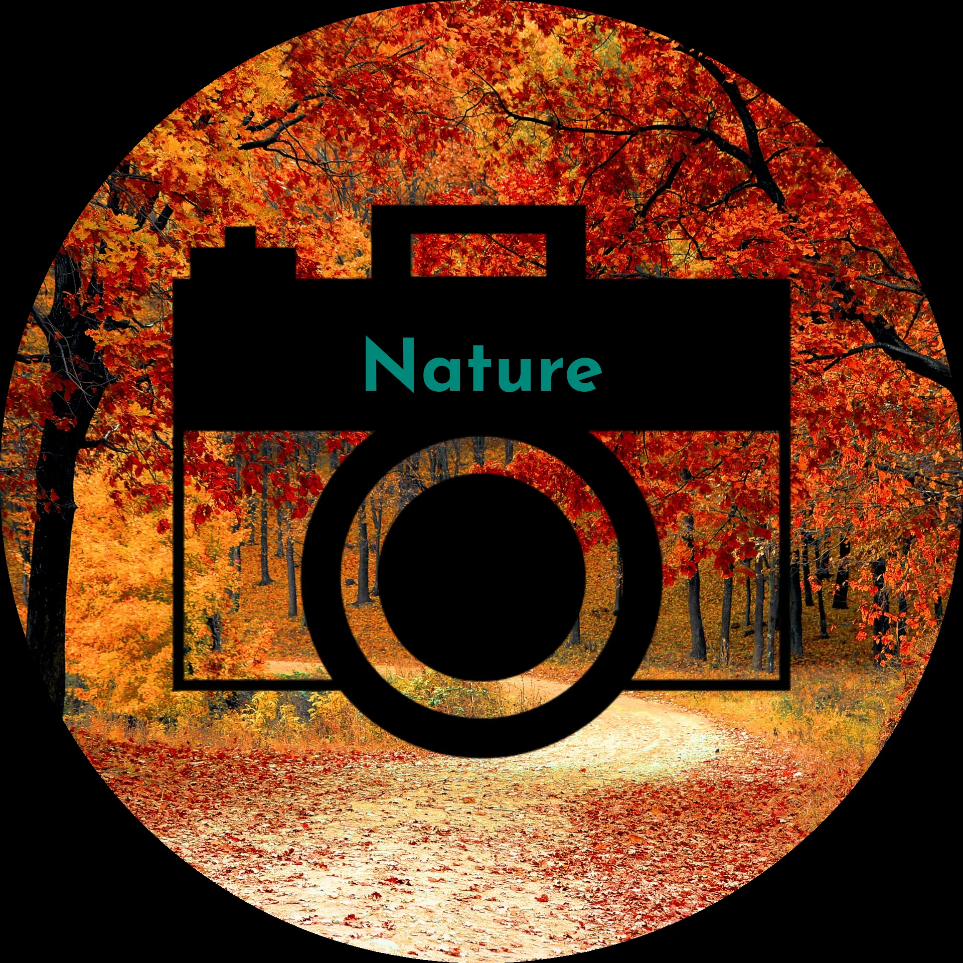 Blank Monday | The New Yorker, image size:1920x1920