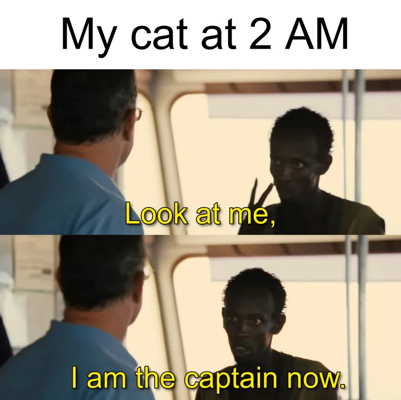 Look At Me Meme Template Kapwing