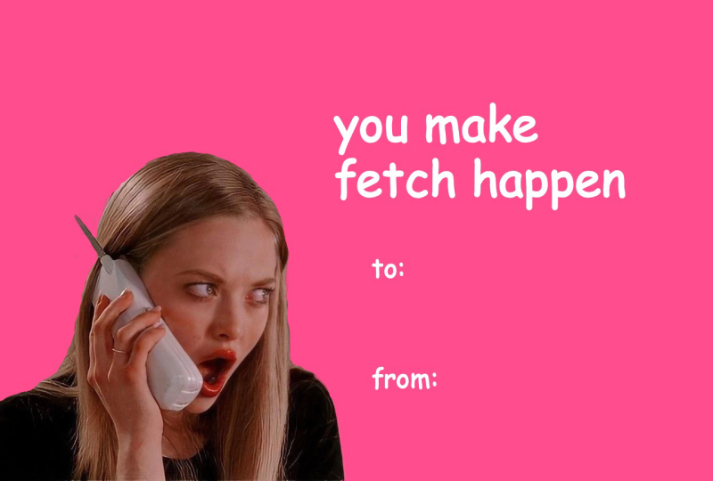 Mean Girls Valentine’s Day Meme Card – “You Make Fetch Happen”