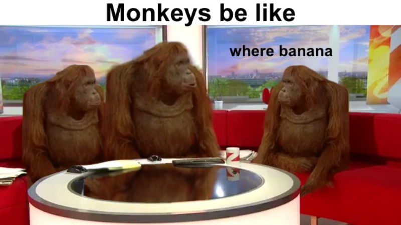 Monkey Council Where Banana Meme Template