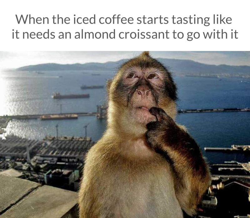 Monkey Thinking Meme Template