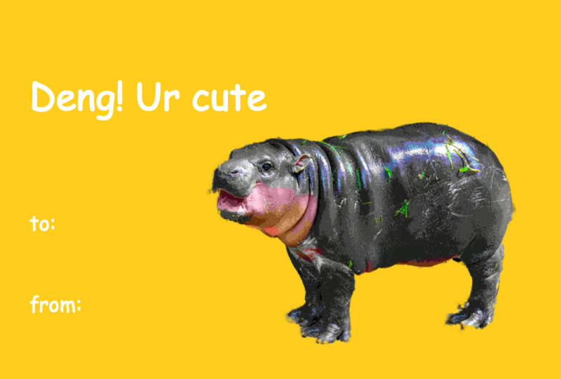 Moo Deng Valentine's Day Meme Card  Deng Ur Cute  Kapwing