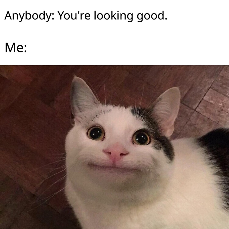 Cat Lipstick Meme Template Infoupdate org