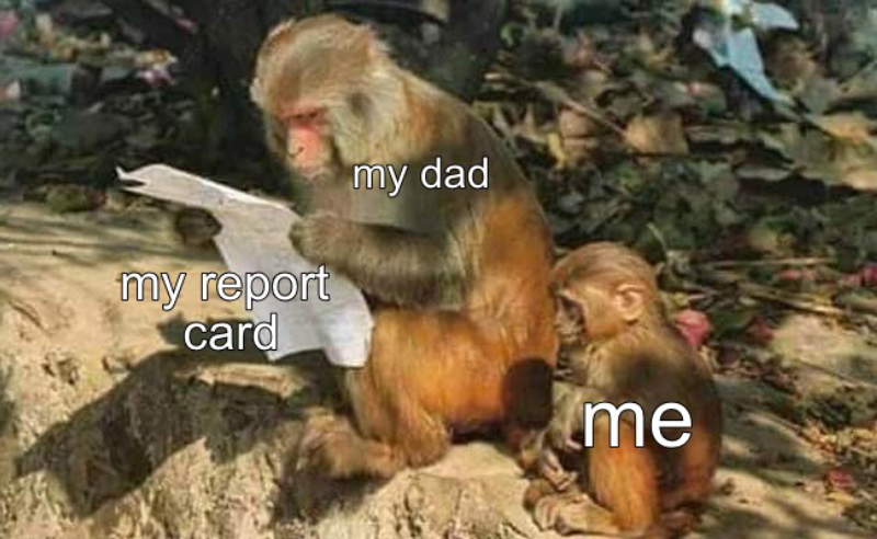 Small Monkey Looking At Big Monkey Reading A Piece of Paper Meme Template