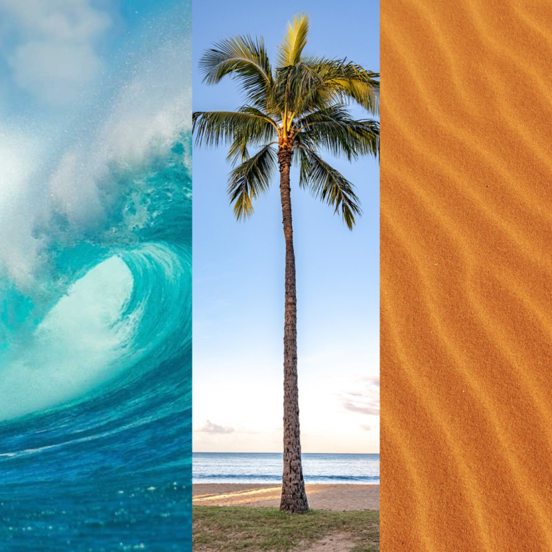 Three Photos Side By Side Collage