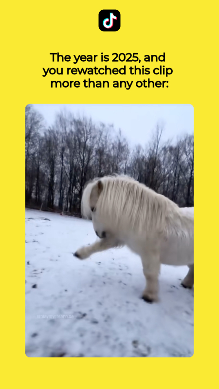 TikTok Wrapped 2025 'Most Watched Video' Template