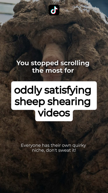 TikTok Wrapped 2025 'You Stopped Scrolling For' Template