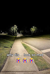 Why Dis Look So Mad Meme Template