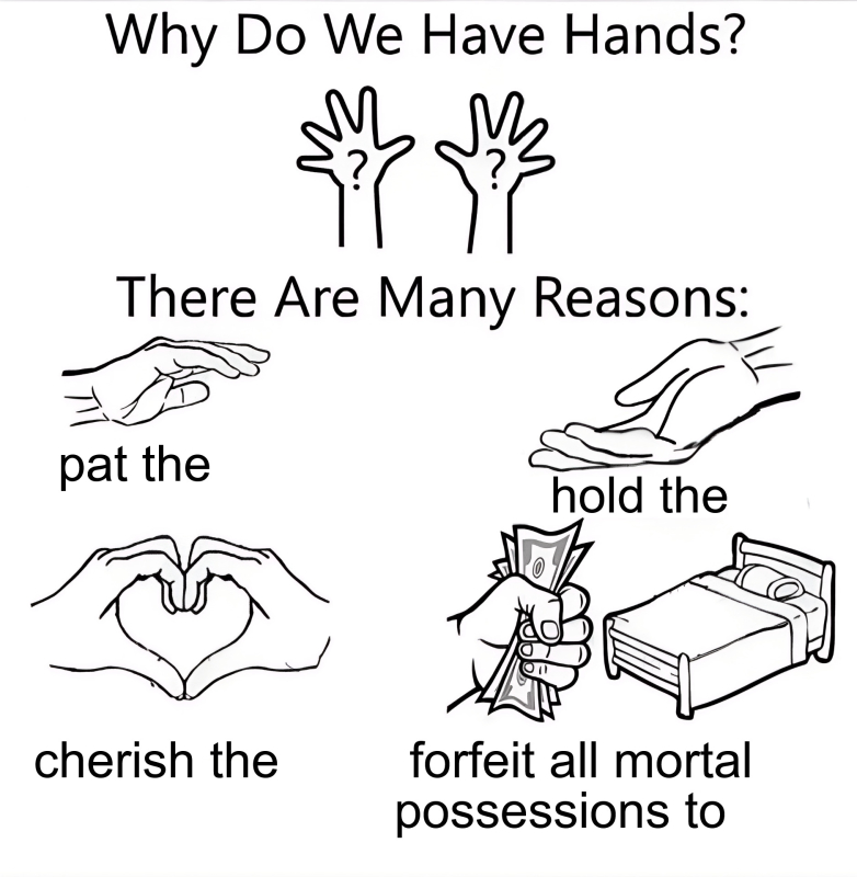 Why Do We Have Hands Meme Template