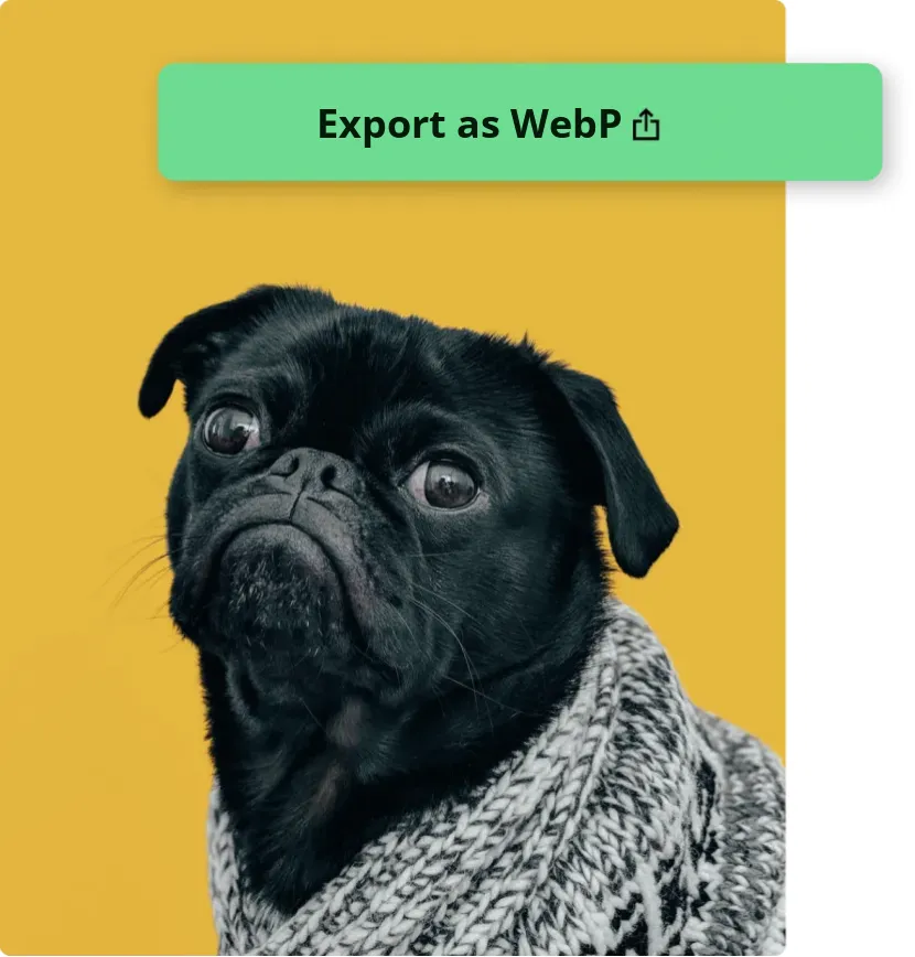 Kapwing V2を使って、PNG画像をWebPに変換しよう!