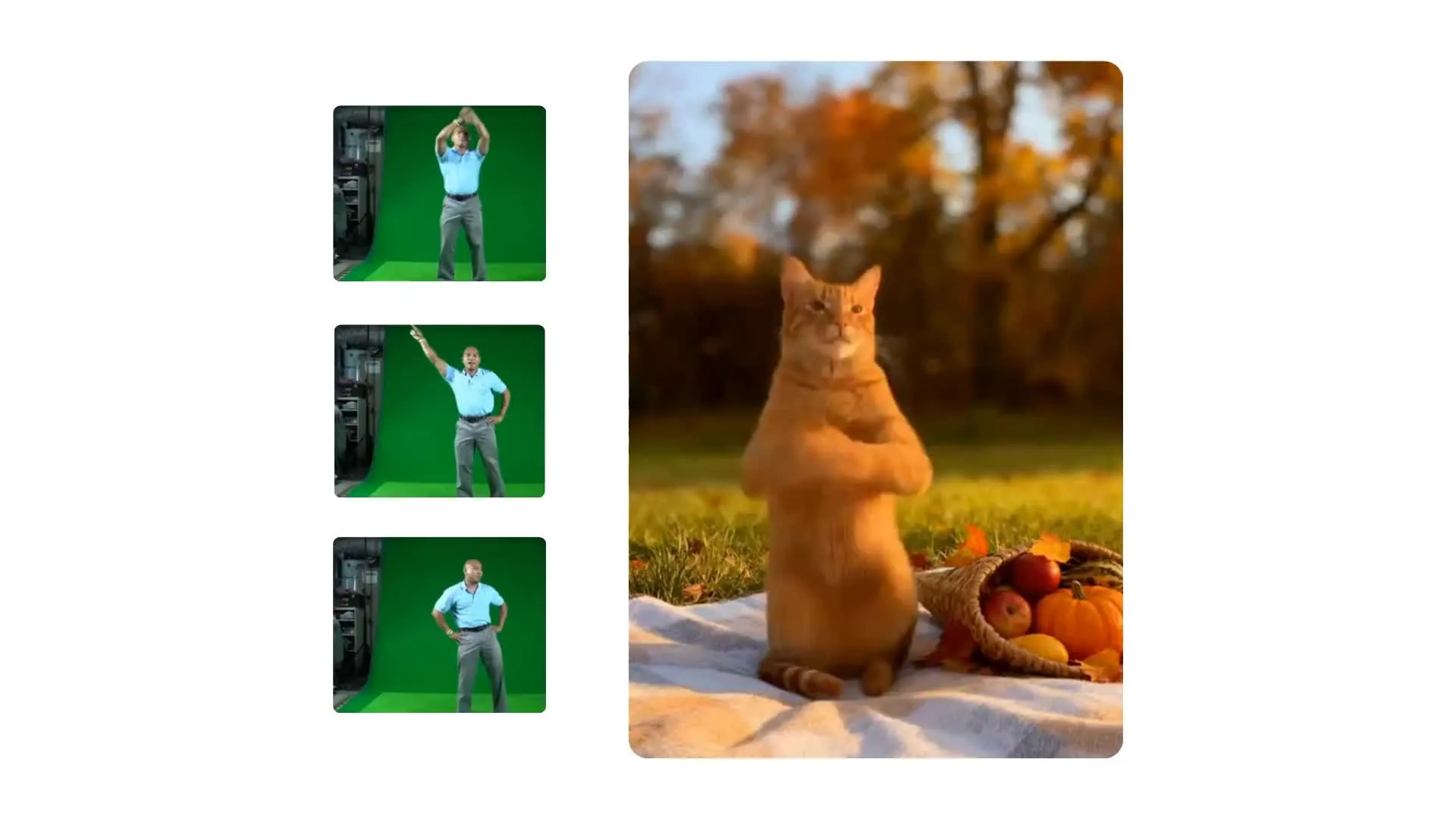 Video Poster